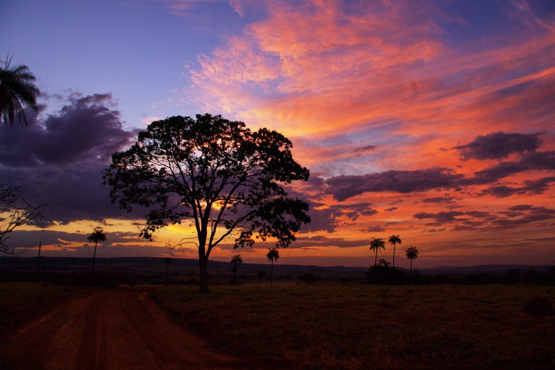 Formosa, Goias, Brazil. Sunset. Marcos Silverio photographer